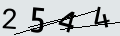 verifycode